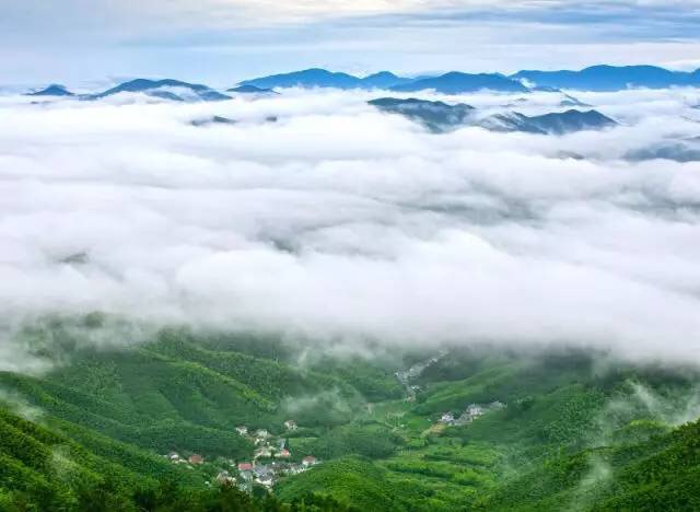 14958489099332788slI.jpg IMG_9908.JPG